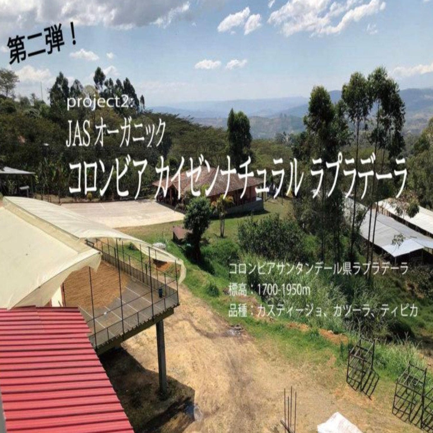 2025.02入荷【生豆】オーガニックJAS認証 コロンビアラプラデーラ デカフェ マウンテンウォータープロセス