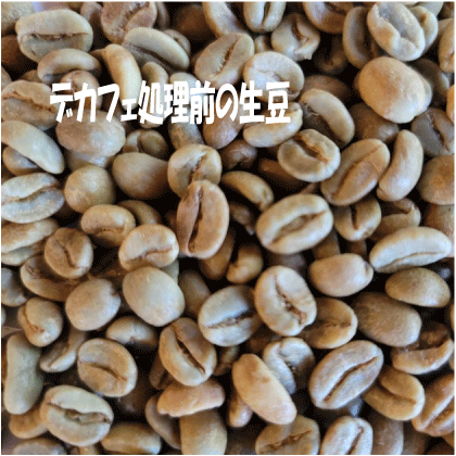 2025.02入荷【生豆】オーガニックJAS認証 コロンビアラプラデーラ デカフェ マウンテンウォータープロセス
