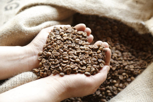 生豆販売サイトリニューアルのお知らせ(一般の方は購入できません