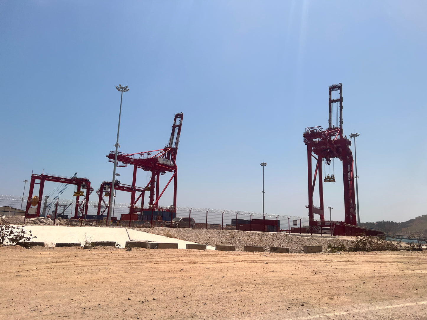 【スペシャルティー(カフェインあり)】JASオーガニック 東ティモールコチャパンパ生豆JASマーク付き