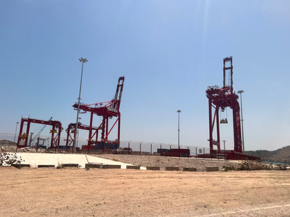 【スペシャルティー(カフェインあり)】JASオーガニック 東ティモールコチャパンパ生豆JASマーク付き