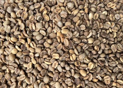 【生豆】オーガニックJAS認証 コロンビアラプラデーラ デカフェ　マウンテンウォータープロセス