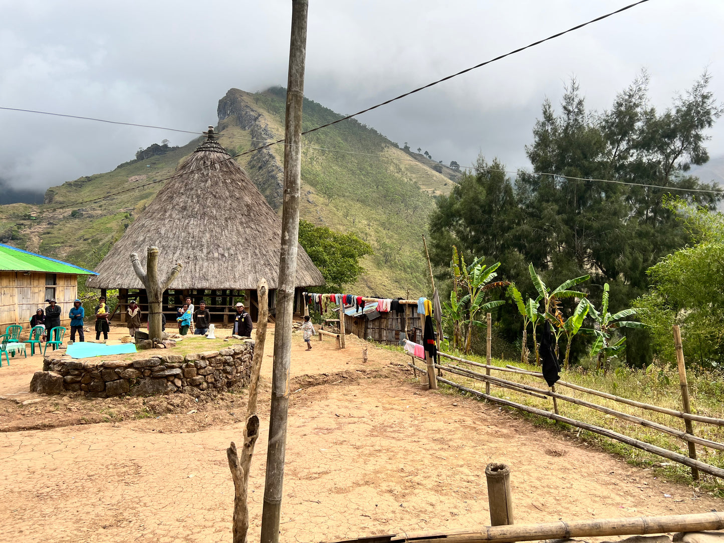 【スペシャルティー(カフェインあり)】JASオーガニック 東ティモールコチャパンパ生豆JASマーク付き