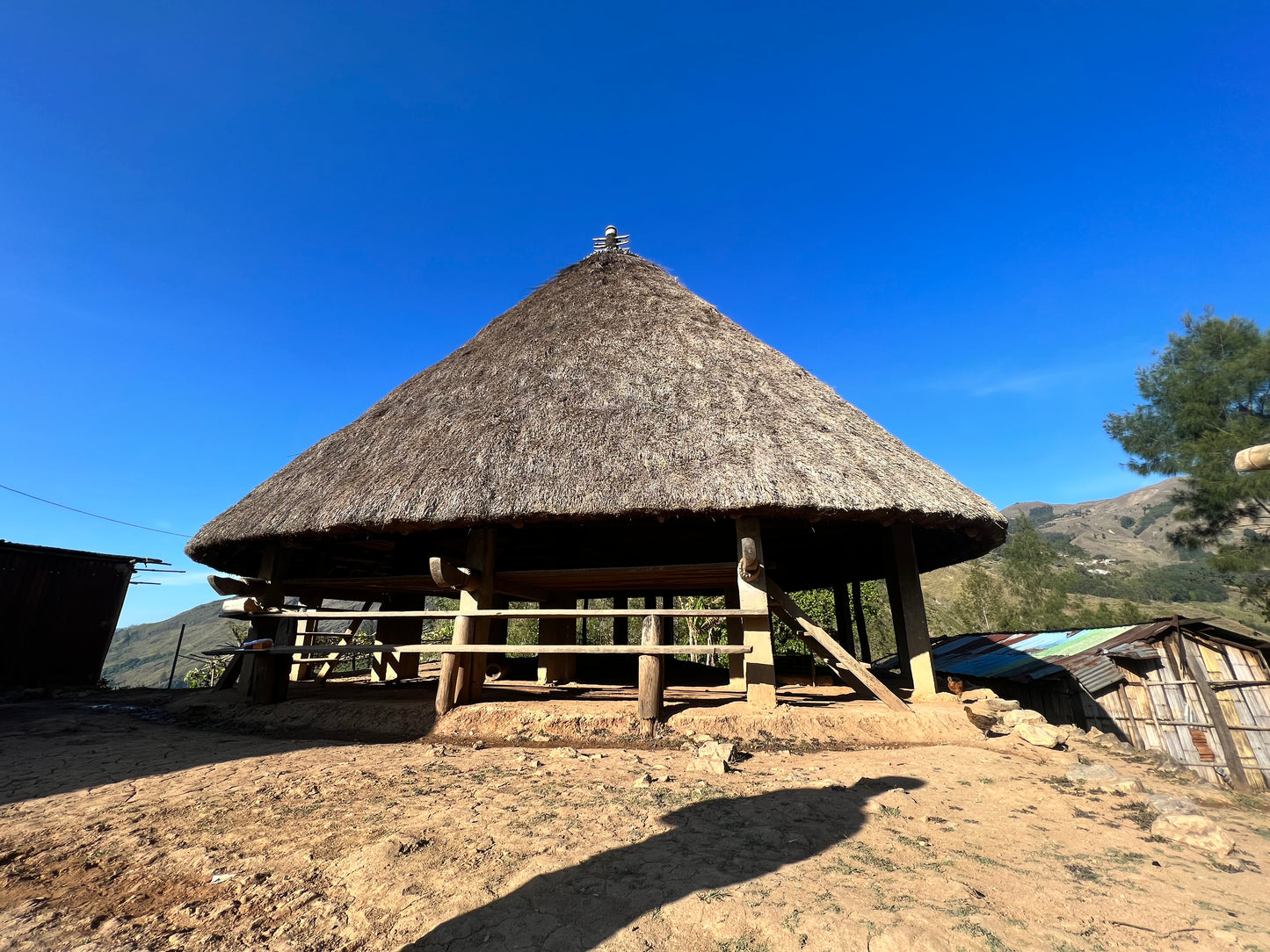 【スペシャルティー(カフェインあり)】JASオーガニック 東ティモールコチャパンパ生豆JASマーク付き