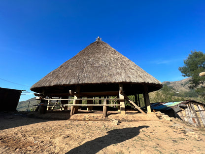 【スペシャルティー(カフェインあり)】JASオーガニック 東ティモールコチャパンパ生豆JASマーク付き