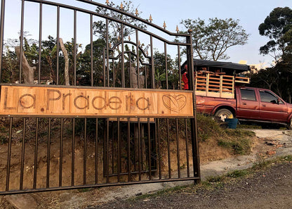 【生豆】オーガニックJAS認証 コロンビアラプラデーラ デカフェ　マウンテンウォータープロセス