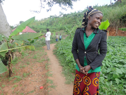 【スペシャルティー(カフェインあり)】JASオーガニック ウガンダチャルンバ　生豆JASマーク付き