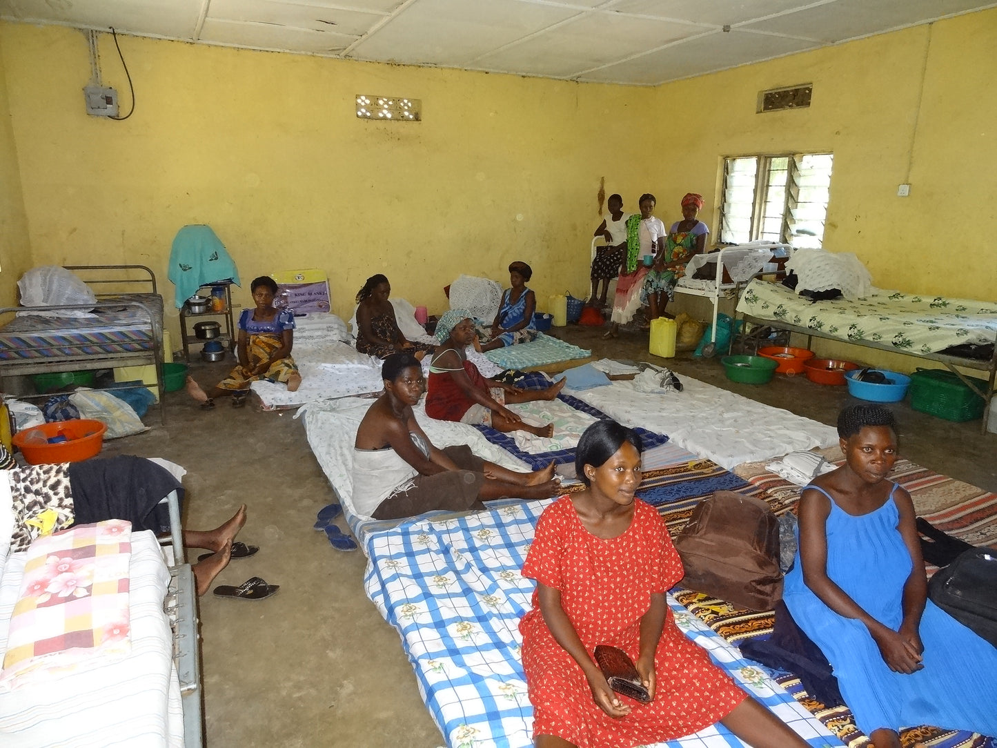 【スペシャルティー(カフェインあり)】JASオーガニック ウガンダチャルンバ　生豆JASマーク付き