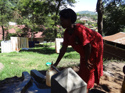 【スペシャルティー(カフェインあり)】JASオーガニック ウガンダチャルンバ　生豆JASマーク付き