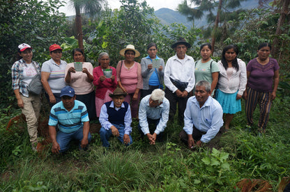 【スペシャルティー(カフェインあり)】JASオーガニック　ペルーコチャパンパ　生豆JASマーク付き