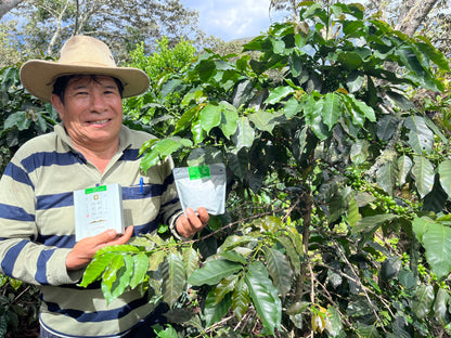 【スペシャルティー(カフェインあり)】JASオーガニック　ペルーコチャパンパ　生豆JASマーク付き