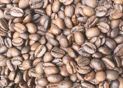 【生豆】オーガニックJAS認証 コロンビアラプラデーラ デカフェ　マウンテンウォータープロセス