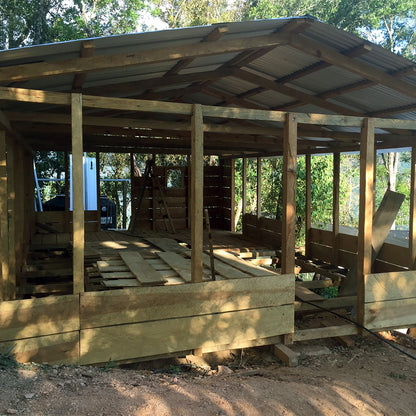 【生豆】JASオーガニック メキシコ シエラ・アスール マウンテンウォータープロセス