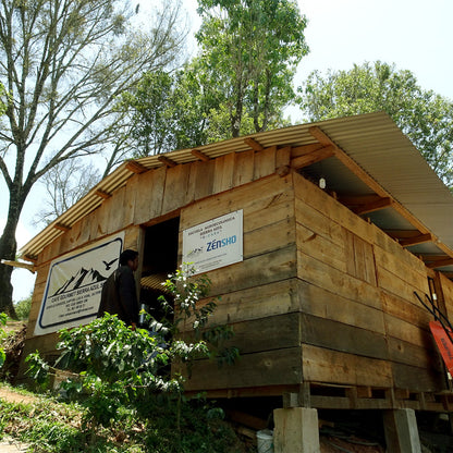 【生豆】JASオーガニック メキシコ シエラ・アスール マウンテンウォータープロセス