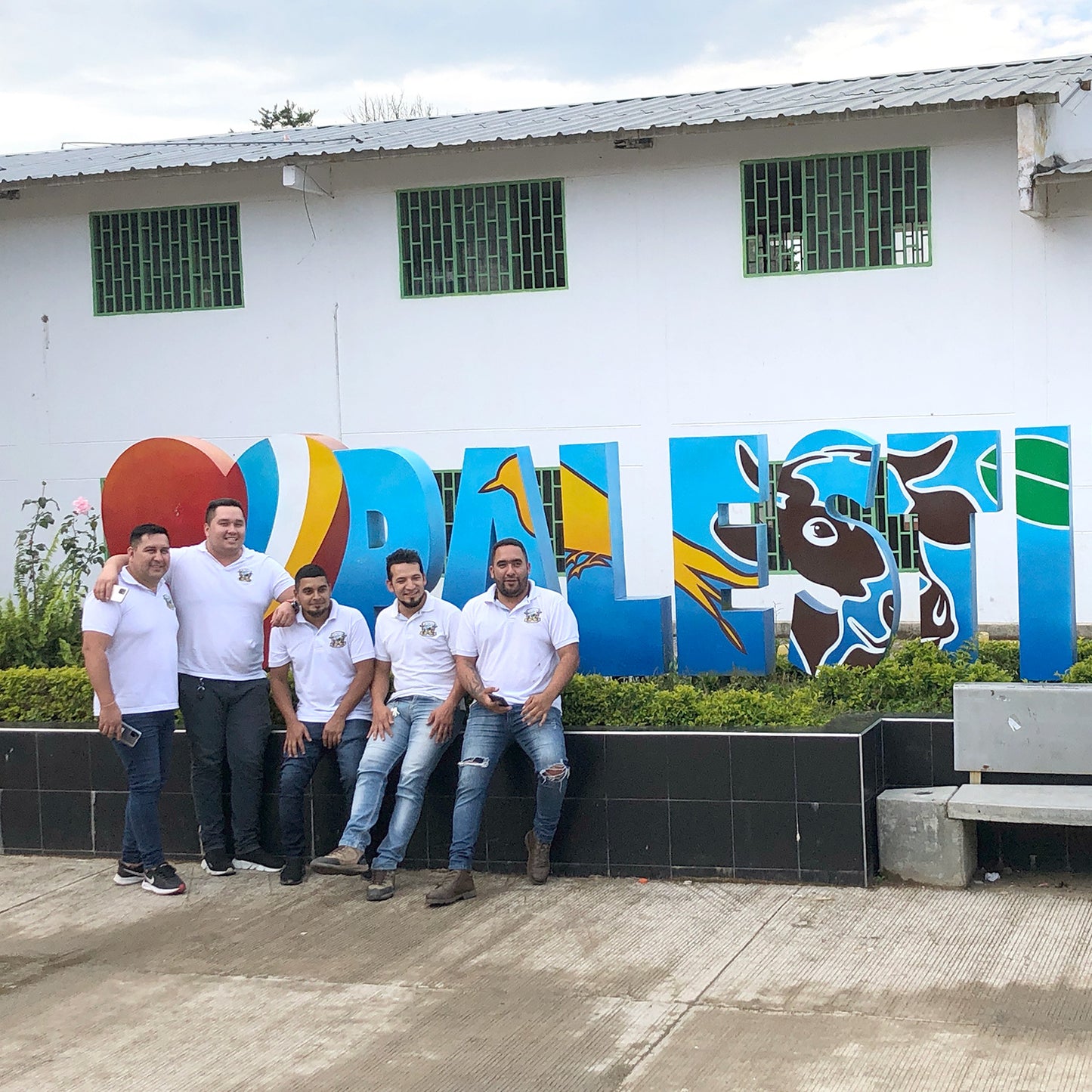 【スペシャルティー(カフェインあり)】JASオーガニック コロンビアパネラ生豆JASマーク付き