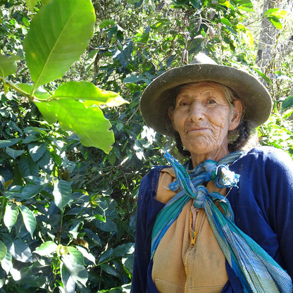 【スペシャルティー(カフェインあり)】JASオーガニック　ペルーコチャパンパ　生豆JASマーク付き