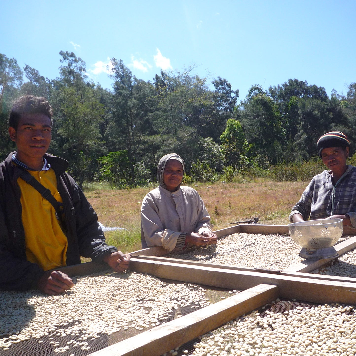【スペシャルティー(カフェインあり)】JASオーガニック 東ティモールコチャパンパ生豆JASマーク付き