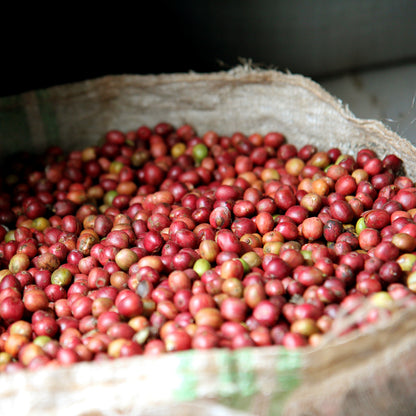 【スペシャルティー(カフェインあり)】JASオーガニック ルワンダミコフ生豆JASマーク付き