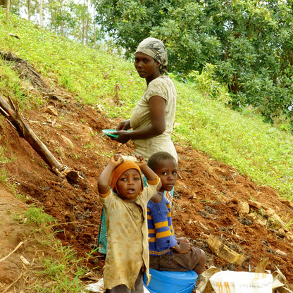 【スペシャルティー(カフェインあり)】JASオーガニック ルワンダミコフ生豆JASマーク付き