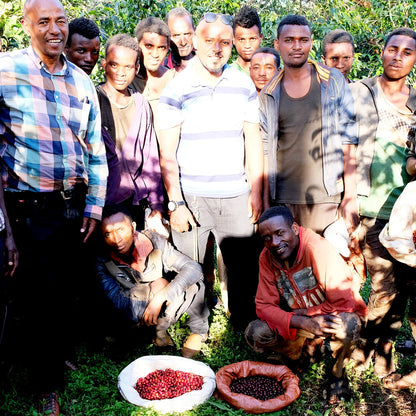【生豆】オーガニックJAS認証 エチオピア グジ シャキッソ デカフェ マウンテンウォータープロセス